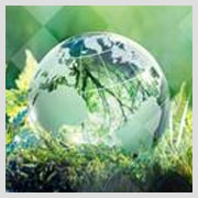 Environmental Practices